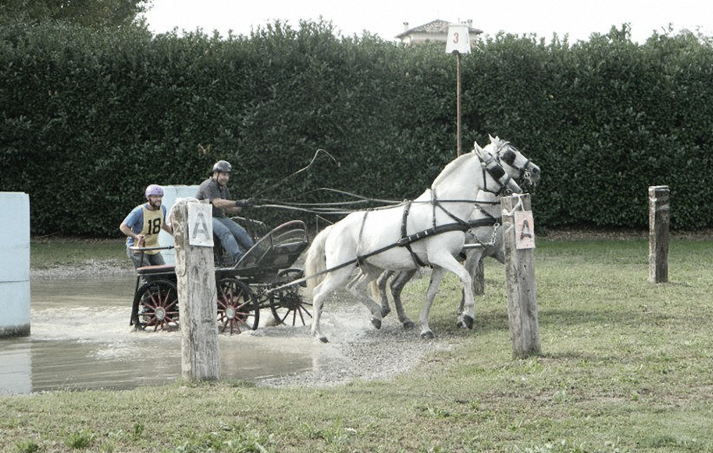 Carrozza da maratona