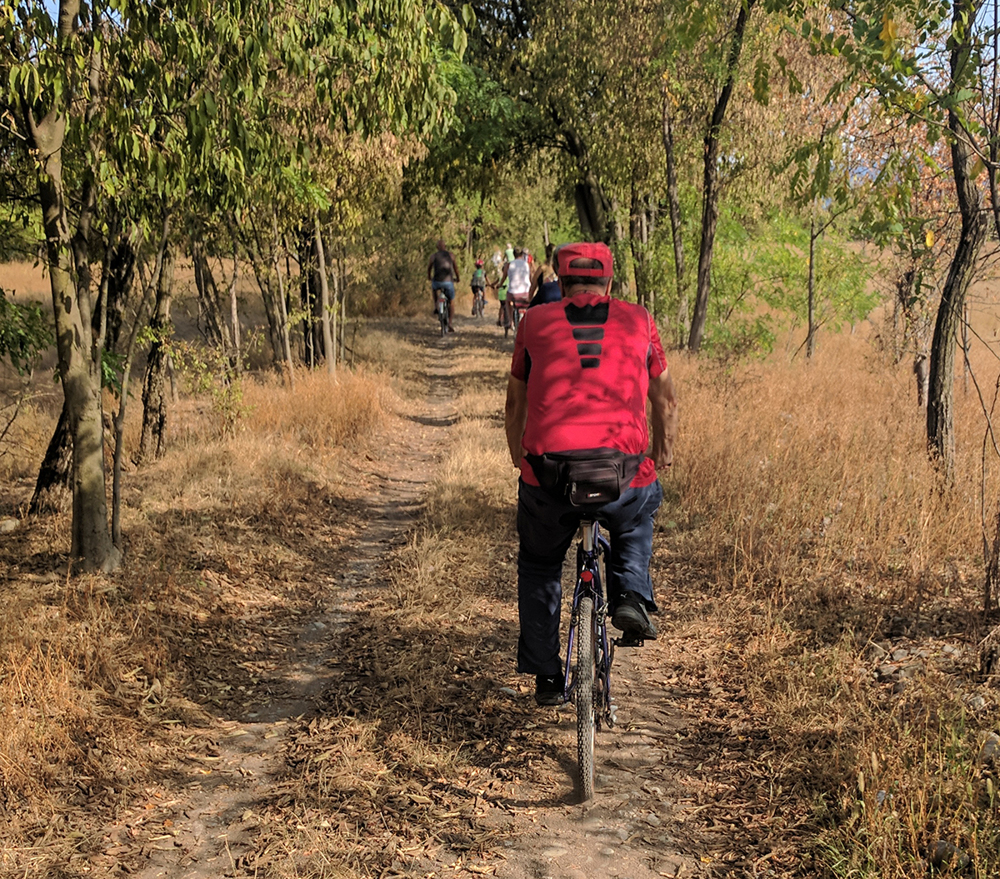 In viaggio nel parco